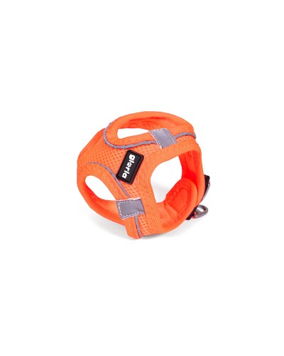 Koiran valjaat Gloria Trek Star 32,8-35,4 cm 45-47 cm Oranssi M