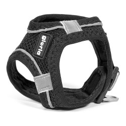 Verstellbares Air Mesh Hundegeschirr Gloria Trek Star für Hunde Größe XXXS (18-20 cm), Schwarz
