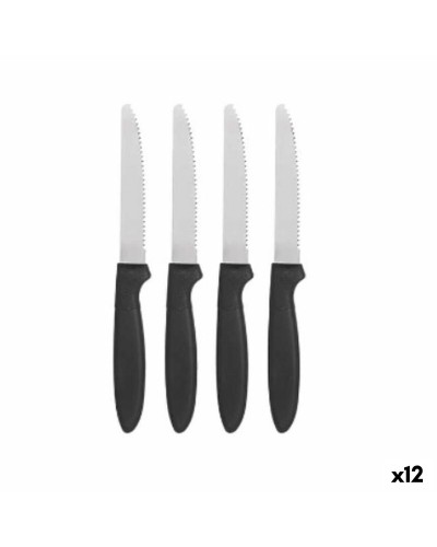 Messen Set Zwart Zilverkleurig Roestvrij staal Plastic 19,5 cm (12 Stuks)