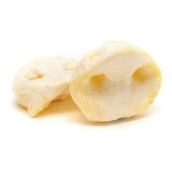 Friandises pour Chiens Gloria Présentoir Léger - 20 Unités de Viande de Porc
