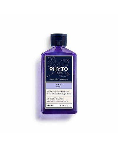 Styling Crème Phyto Paris Violet 250 ml