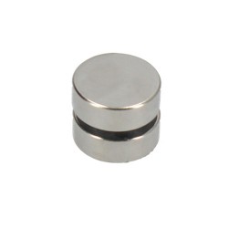Ferrestock Magnetic Magnet 28 x 10 mm (Pack of 2)
