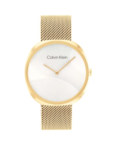 Miesten rannekellot Calvin Klein 1685215