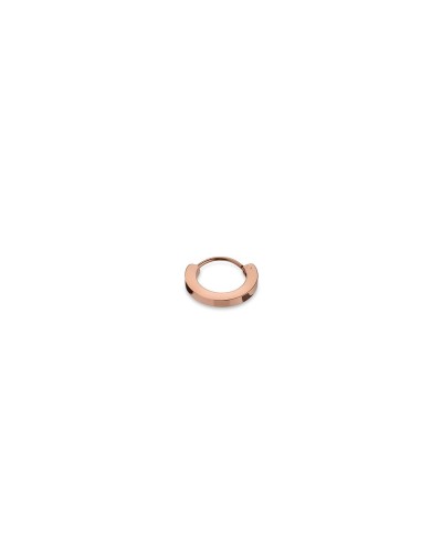 AN Jewels Damen Ohrringe AS.PH05R - Roségold plattiert, Elegant & Modisch
