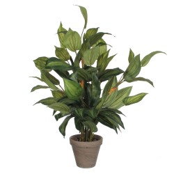 Planta Artificial Hosta Verde Mica Decorations - Alta Calidad en PVC, Medidas: 15,5 x 65 cm
