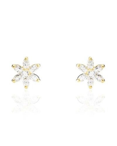Stroili Women's Earrings Dangle Crystals | Elegant and Luminous
