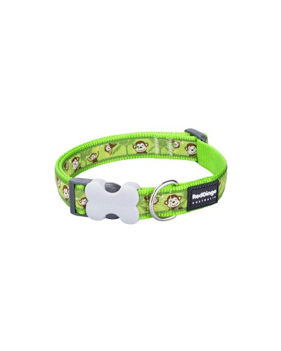 Red Dingo Style Hundehalsband Lime, 15 mm x 24-36 cm, Größe L

