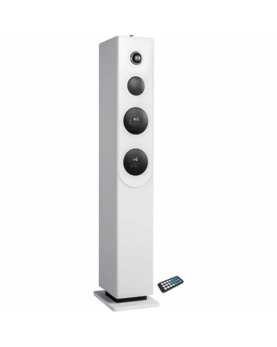 Inovalley Altavoz de Columna - Audio Potente & Diseño Elegante
