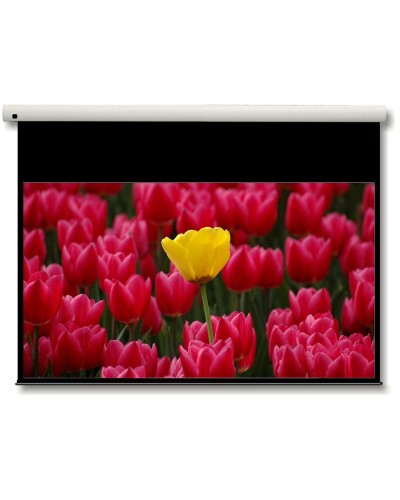 Optoma DE-9092EGA 92" Manual Pull Down Projector Screen, Matte White
