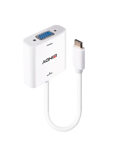 LINDY Adaptateur USB C vers VGA - Convertisseur Vidéo Full HD 1080p
