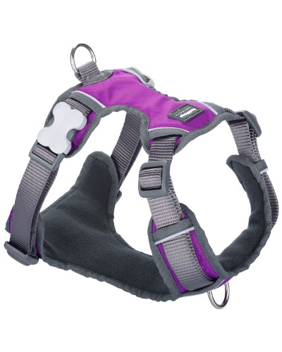 Arnés Confort para Perros Red Dingo, Morado, Talla L (47-73 cm, 56-80 cm)
