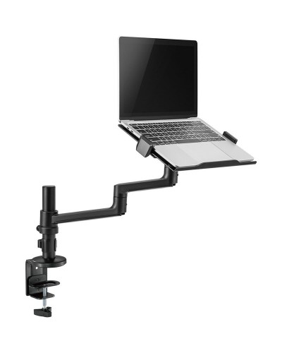 Fäste för Laptop, eBook och iPad Neomounts DS20-425BL1 17,3" 11,6"