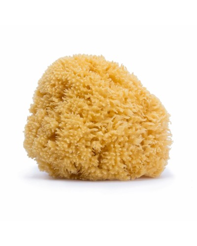 Rengöringssvamp Suavinex Stor Naturell