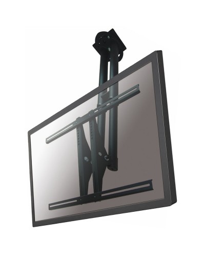 TV-teline Neomounts PLASMA-C100BLACK 37"-75" 50 kg 75" 37"