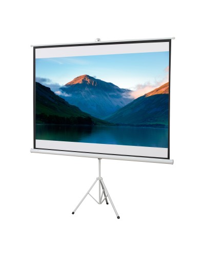 Schermo di Proiezione 100 Pollici con Treppiedi Formato 4:3