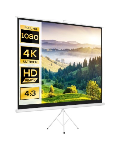 Telo Proiettore da 120" Formato 4:3 in Tessuto a Rete, Plastica e Metallo con Treppiedi, 244x190 cm, Bianco