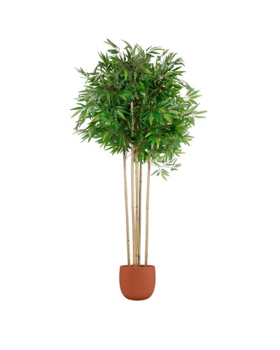 Albero Home ESPRIT Bambù Poliestere | Tenda per Interni Elegante | 80 x 80 x 180 cm