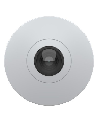 Axis M4327-P IP-Überwachungskamera - 5 MP - PoE - Innen/Außen
