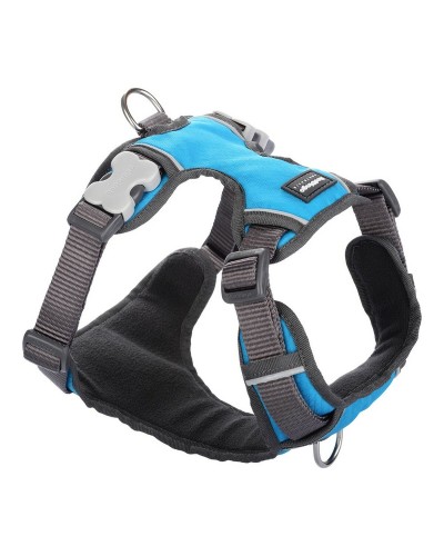 Imbracatura per Cani Red Dingo Trapuntata - Taglia XL - Turchese