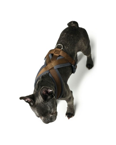 Harnais Hunter London Comfort pour Chien XS-S (39-47 cm), Marron
