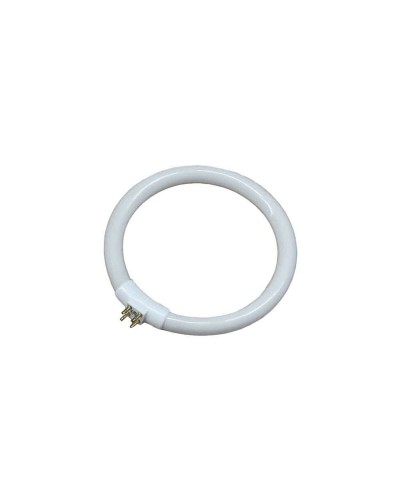 Fluoresoiva putki EDM 30287 Vaihto-osa Pyöreä T4 Valkoinen 12 W (6500 K)