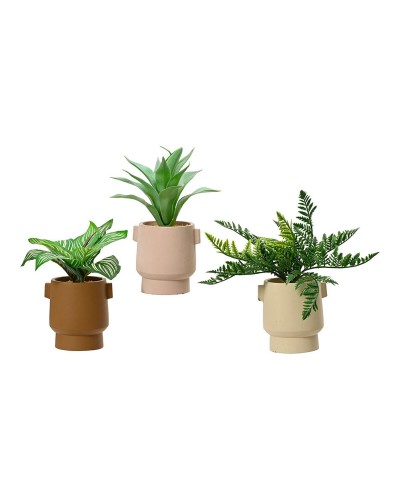 Decoratieve plant EDM 808559 Bloempot 25 cm