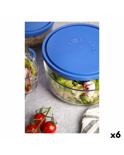 Fiambrera Borgonovo Igloo 2,2 L (6 Unidades, Ø 22 cm) - Ideal para Conservación de Alimentos
