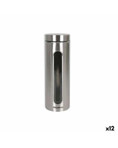 Quttin Vase Transparent et Argenté en Verre et Acier, 2,2 L, 10 x 10 x 30,5 cm
