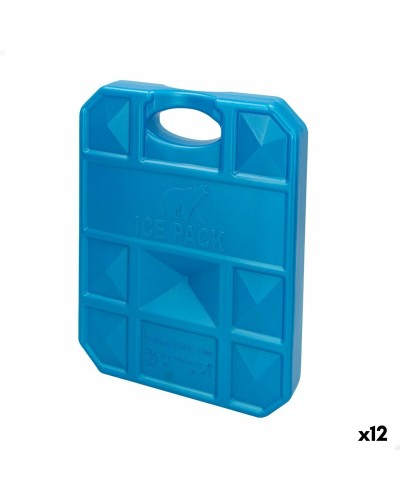 Kou-accumulator Aktive Blauw 1 kg 18,5 x 24 x 3,3 cm (12 Stuks)