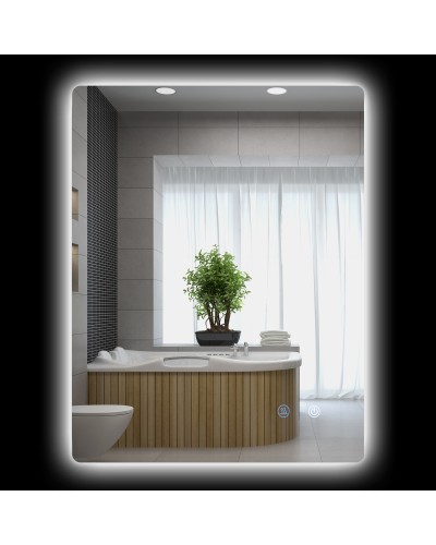 Bathroom Mirror with Adjustable LED Lights, Touch Switches, and Anti-Fog Function, 70x50 cm