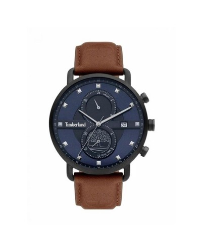 Horloge Heren Timberland TDWGF2101003