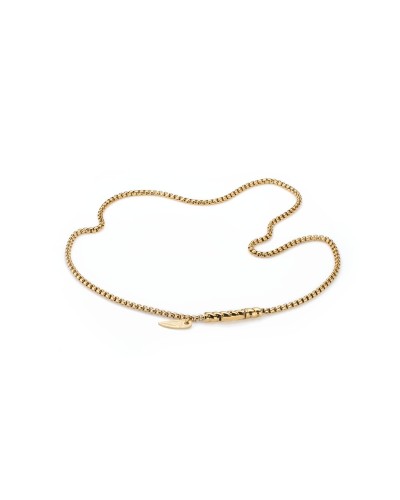 AN Jewels Collana Donna Oro Giallo - Elegante Girocollo AA.C257GG
