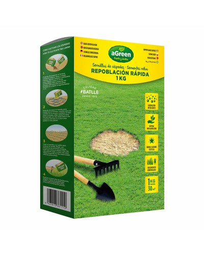 Graines aGreen pour une Pelouse Résistante et Luxuriante
