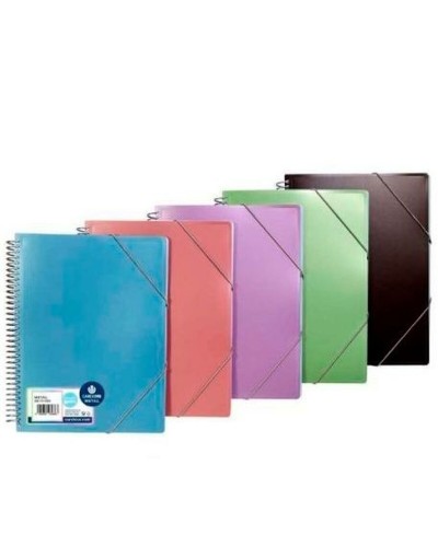 Järjestelykansio Carchivo A4