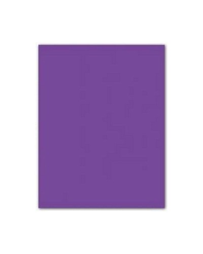 Fiches Iris Paars 50 x 65 cm