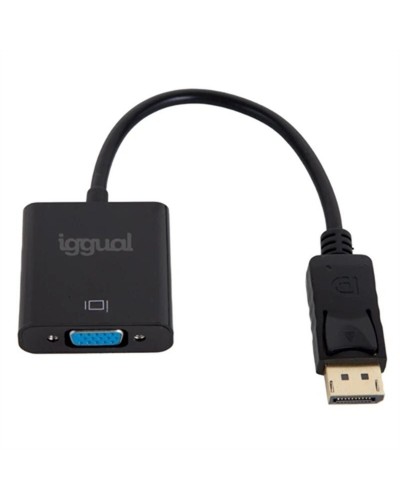 Iggual Adattatore DisplayPort a VGA - Convertitore Video PC Monitor
