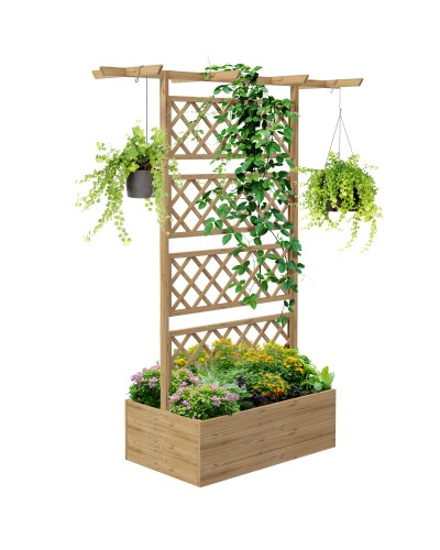 Raised Garden Bed with Trellis and Climbing Plant Pergola Open Bottom 160x55x183cm Natural Wood