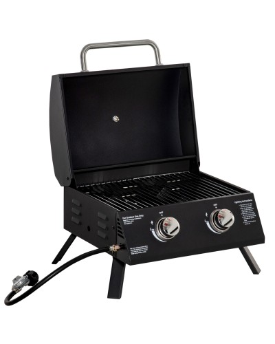 Foldable Gas BBQ Grill with Lid, Thermometer, and 2 Stainless Steel Burners, 55x46.5x41 cm, Black