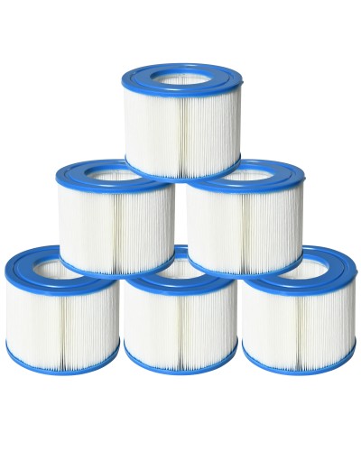  Set 6 Filtri per Piscine e Spa Gonfiabili in Tessuto non Tessuto, Ø10.5x8cm, Blu e Bianco