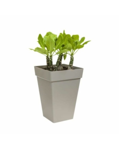 Vaso Elho Quadrato in Polipropilene Antracite, 29,5 cm per Interni ed Esterni