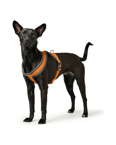 Hunter London Comfort Dog Harness Size XS/S Orange, 39-47 cm

