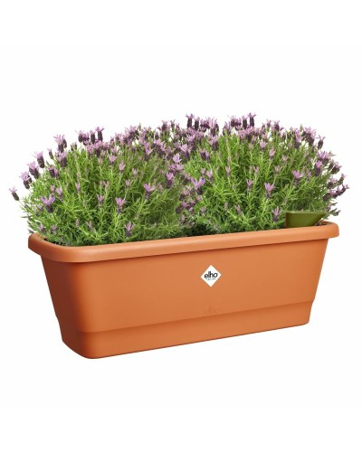 Bloempot Elho Bruin Plastic Modern