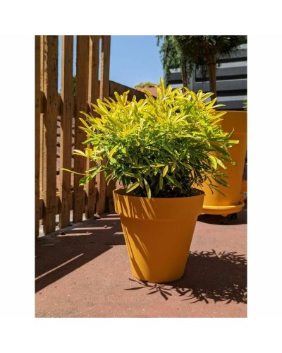 Riviera Vaso da Giardino Giallo, Diametro 60 cm