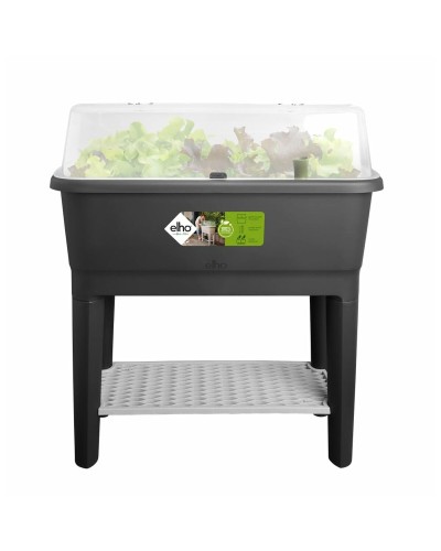 Elho Greenhouse 78.5 cm: Ideal for growing in the garden or balcony.
