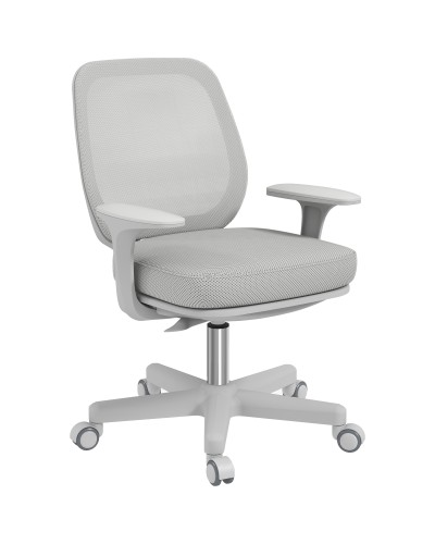 Sedia da Ufficio Ergonomica e Reclinabile ad Altezza Regolabile con 5 Rotelle, 55x48x82.5-94.5 cm, Grigia