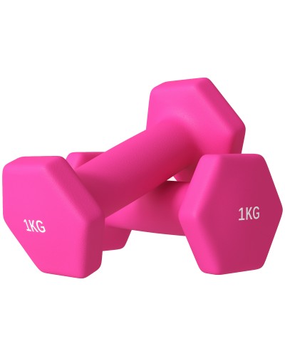  Set 2 Manubri 2x1 kg Esagonali e Antiscivolo per Casa e Palestra, in Metallo e Plastica, 13x5x5 cm, Rosa