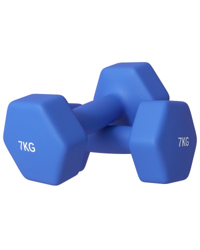  Set 2 Manubri Esagonali da 2x7kg in Metallo e Plastica con Impugnatura Antiscivolo, 22.5x10.5x10.5 cm, Blu