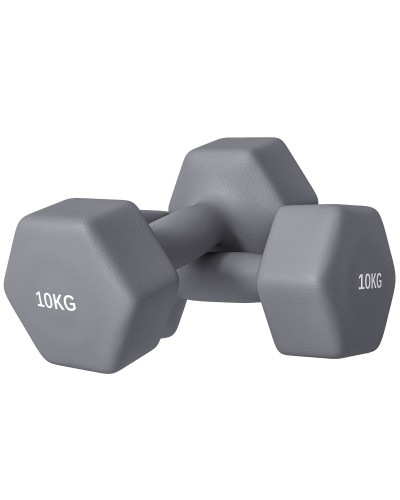  Set 2 Manubri Esagonali da 2x10 kg in Metallo e Plastica con Impugnatura Antiscivolo, 26x12x12 cm, Grigio