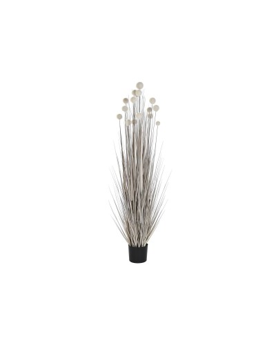Decoratieve plant DKD Home Decor Pompons (45 x 45 x 150 cm)