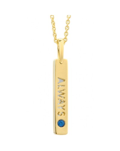 Ketting Dames Secrecy P7162CDAWWC03 42 cm